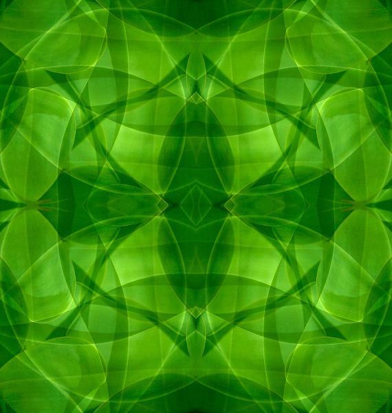 Jaynes Gallery 아티스트의 Green kaleidoscope abstract작품입니다.
